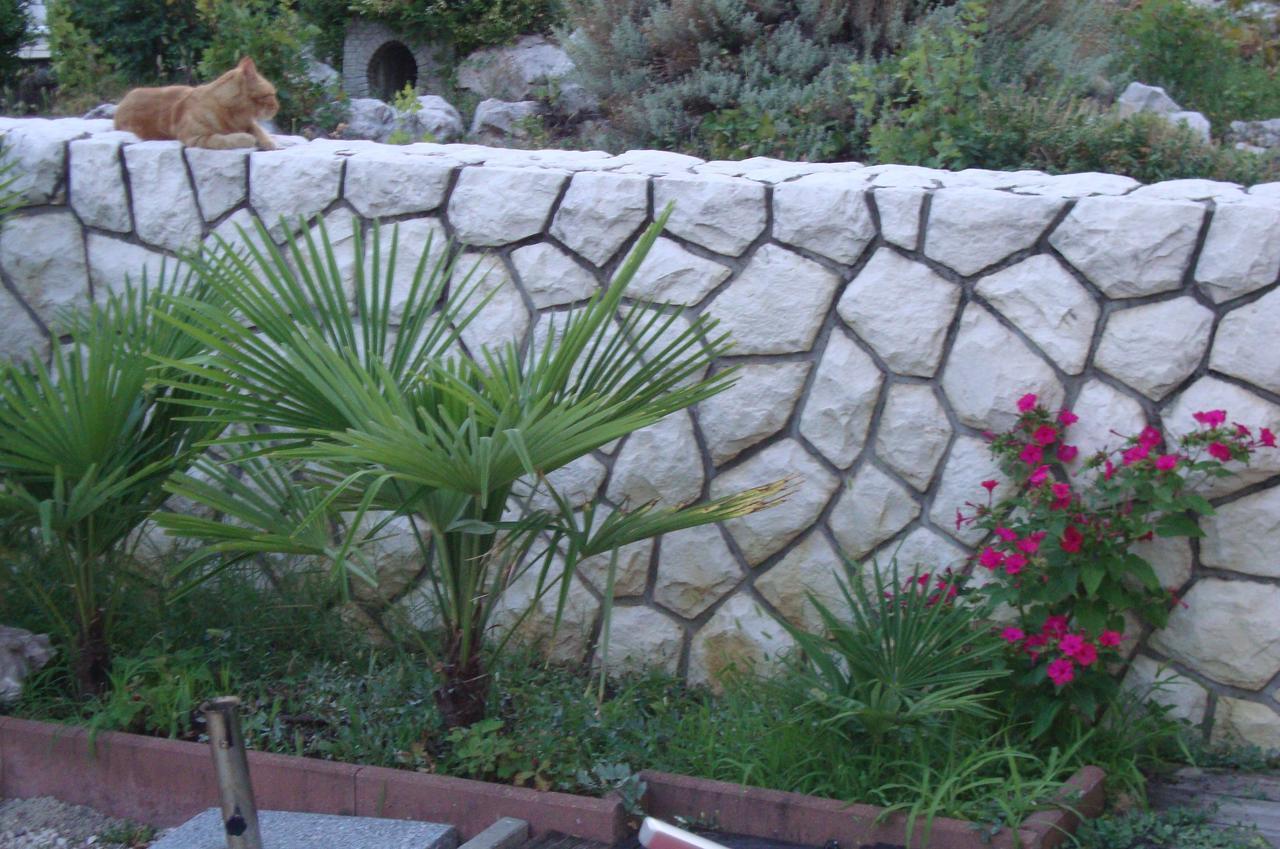 Apartments Ilona Novi Vinodolski Dış mekan fotoğraf